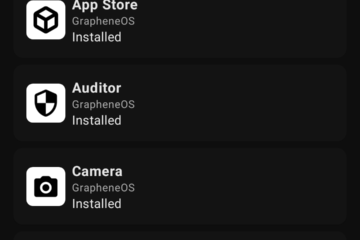 8.4 Months of Daily Driving GrapheneOS