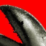 The OpenClaw boom in China is a gold rush for AI companies