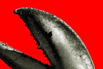 The OpenClaw boom in China is a gold rush for AI companies