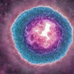 The shingles virus may cause you to age more quickly