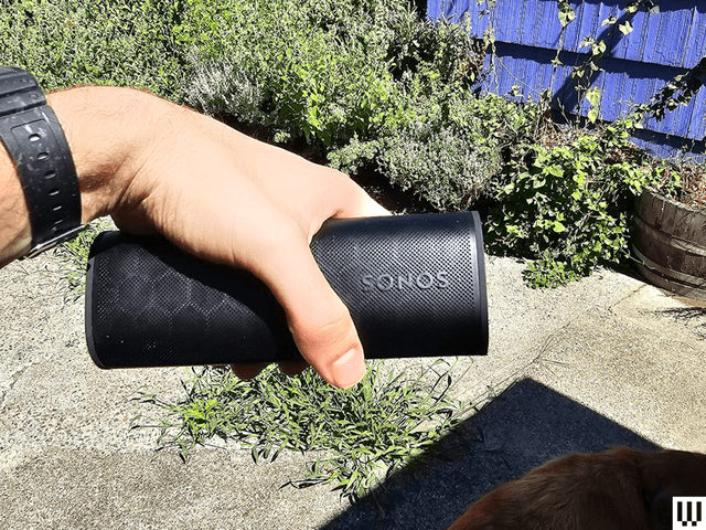 Image may contain: animal, dog, mammal, pet, accessories and wallet