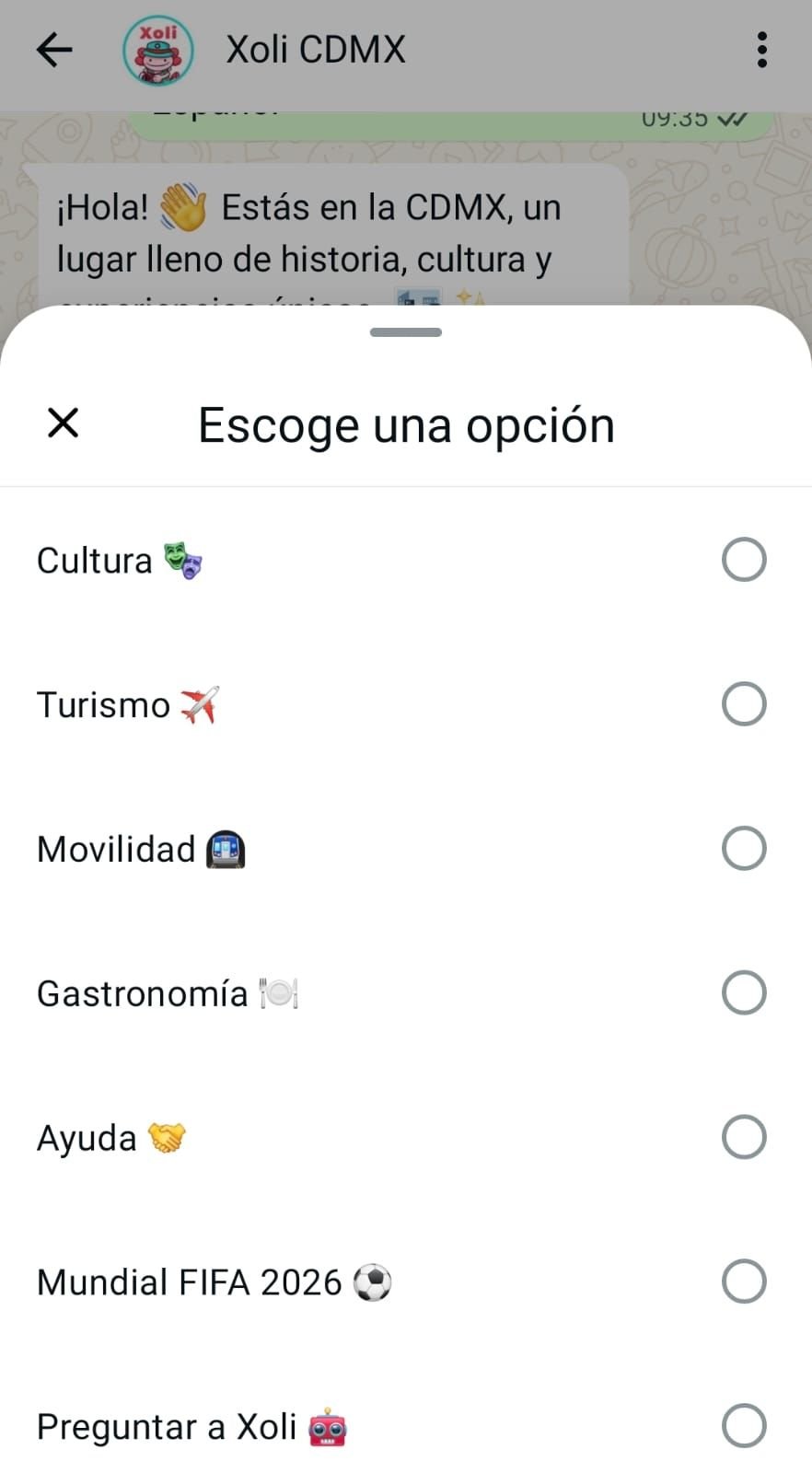 Xoli chatbot World Cup Mexico