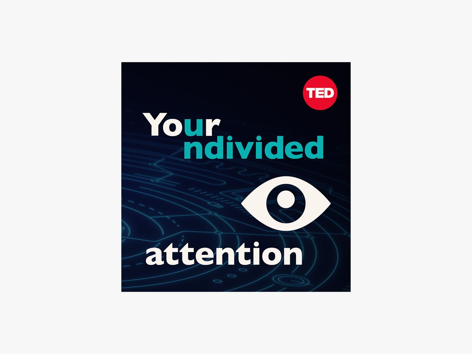 Cover art for Your Undivided Attention podcast art