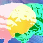 Grammarly’s “expert review” is missing actual experts