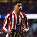 Dove on the pitch: Atletico Madrid defender Jose Gimenez removes the feathered intruder