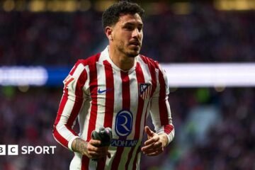 Dove on the pitch: Atletico Madrid defender Jose Gimenez removes the feathered intruder