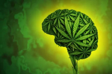 Huge study finds no evidence cannabis helps anxiety, depression, or PTSD