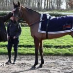 Cheltenham Festival 2026: Harry Redknapp eyes Jukebox Man win Gold Cup