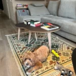 The enshittification of Amazon paperback books · Alex Erhardt