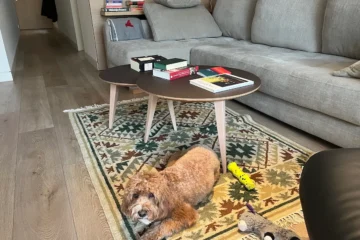 The enshittification of Amazon paperback books · Alex Erhardt