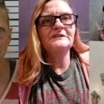 AI error jails innocent grandmother for months in North Dakota fraud case – Grand Forks Herald